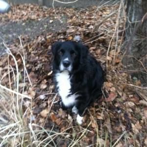 Meet your Posher, Cathy